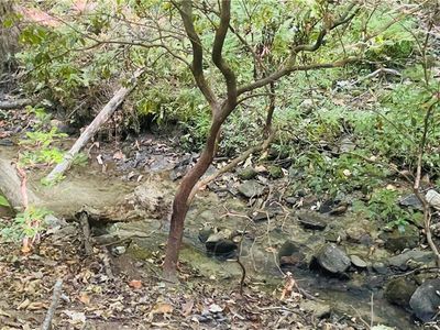 3263 Oak Ct Lot 3263, Jasper, GA, 30143