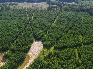 0 Berry Ln, Dadeville, AL 36853