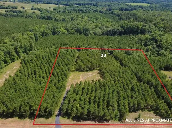 TRACT 2B Avalon Lake Ln, Mena, AR 71953