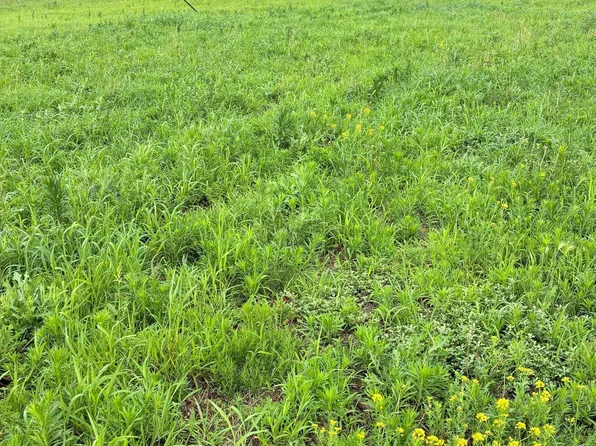 N Madison St, Tilden, NE 68781