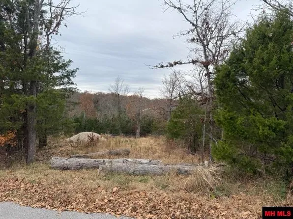 002-10735-000 Wildwood Cir, Mountain Home, AR 72653