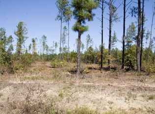 19 Pollett Rd TRACT 19, Bartow, GA 30413