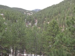 25601 Jenny Ln, Evergreen, CO 80439