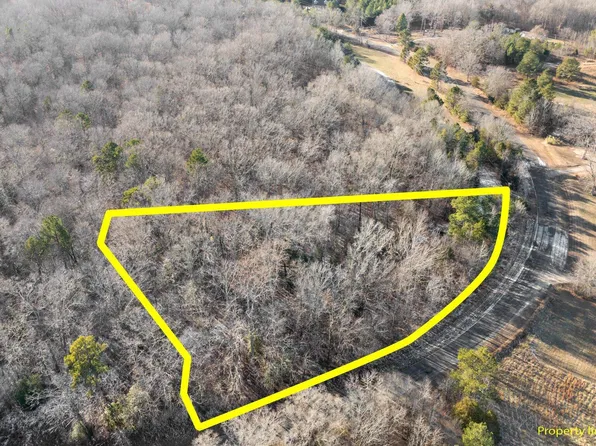 0 Williamson Road, Bullock, NC 27507