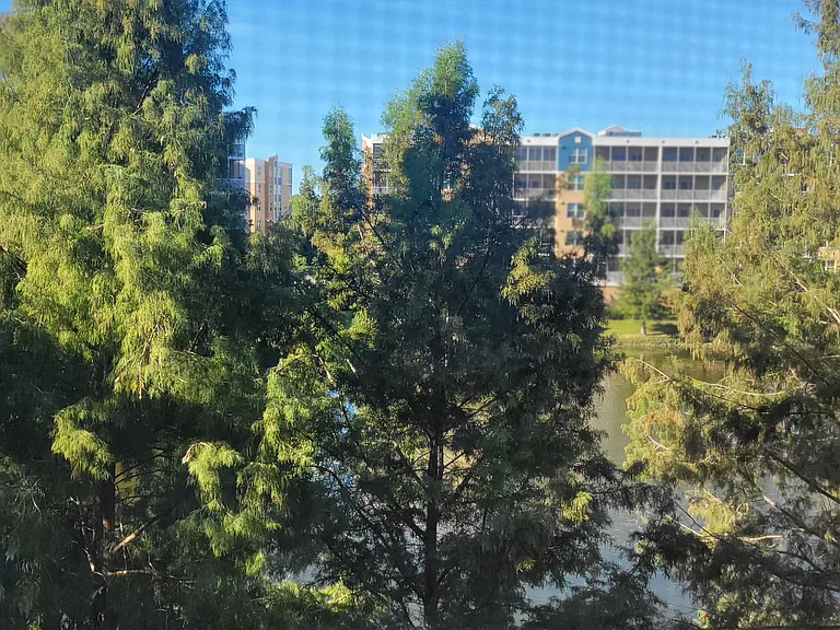 View from Balcony