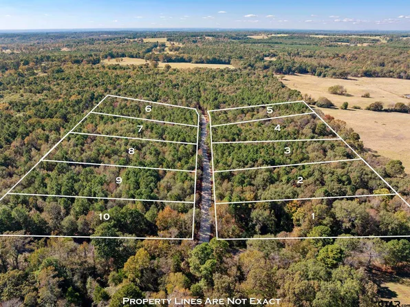 Lots 1 10 Creek Bend Trl, Troup, TX 75789