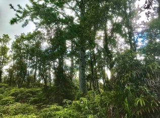 Ala Naulani LOT 45, Volcano, HI 96785