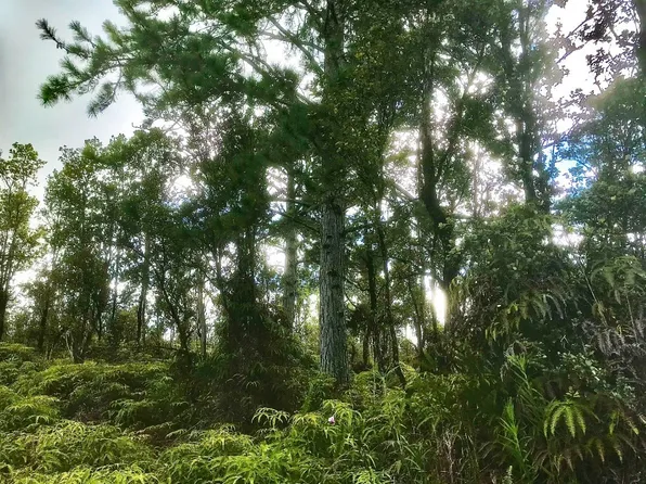 Ala Naulani Lot 45, Volcano, HI 96785