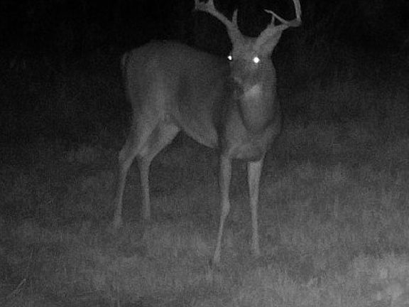 5th image of Simon Rd Lot Wp001