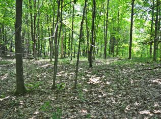 19 Turtle Ln, Carling, ON P0G 1G0