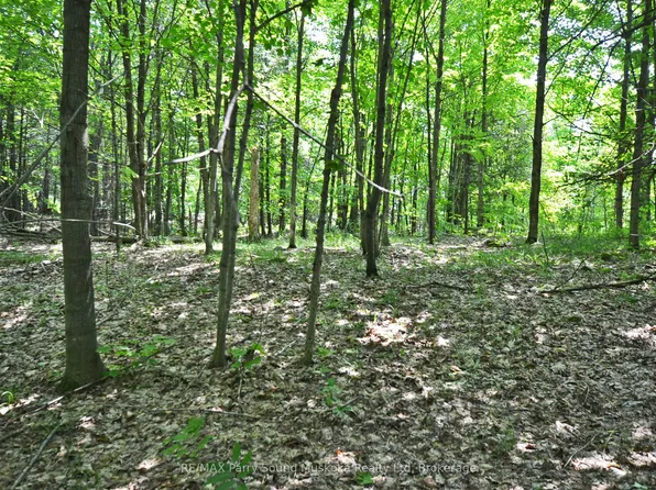 19 Turtle Ln, Carling, ON P0G 1G0