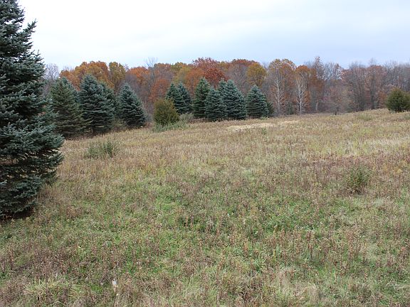 4th image of 2817 Harvest Dr