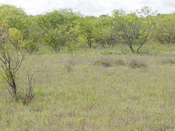 5th image of TBD LOT 5 CR 208 LOT TR 35
