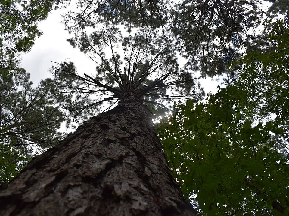 1st image of 100 W Ouachita #32