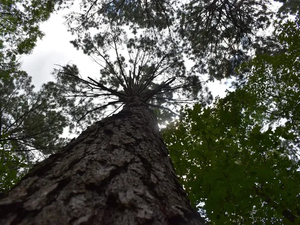 100 W Ouachita #32, Camden, AR 71701