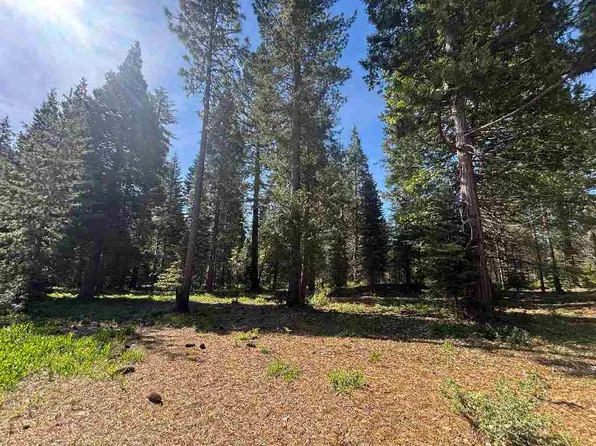 LOT 23 Old Mill Rd, McCloud, CA 96057