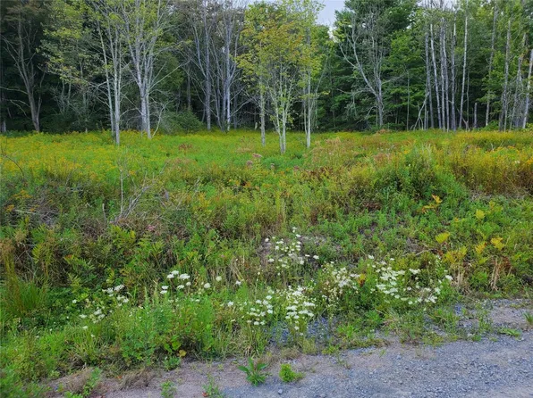 0 Forest Lake Rd, Montrose, PA 18801