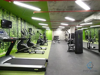 Rented by Gypsy Housing LLC