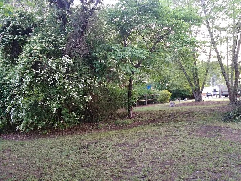 Front yard