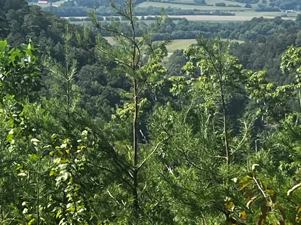 157 Quarry Creek Rd #1-4, Tellico Plains, TN 37385