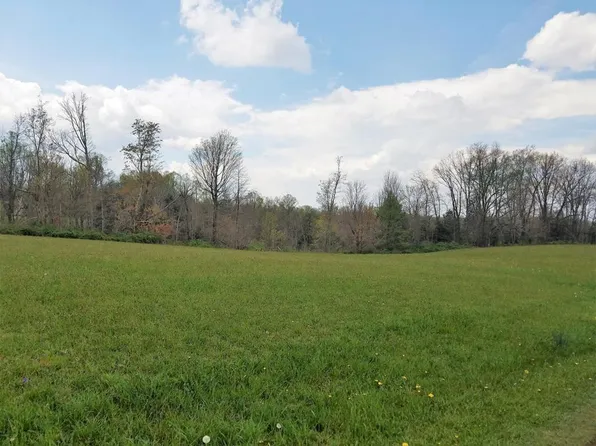 81 Mount, Mount Nebo, WV 26679