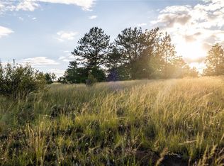 455 Guipago Trl, Hartsel, CO 80449