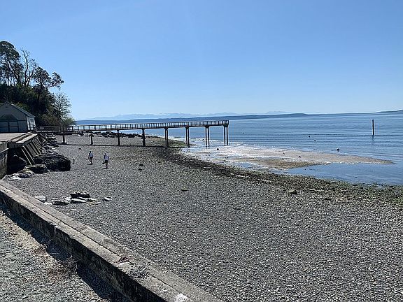 Rocky Point beach