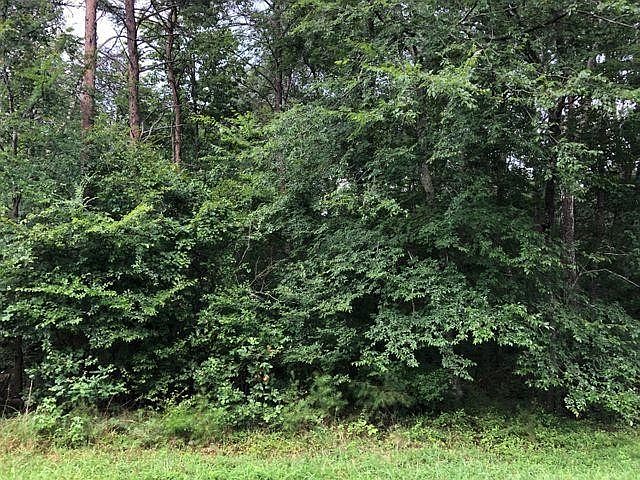 2nd image of 91 County Road 9101