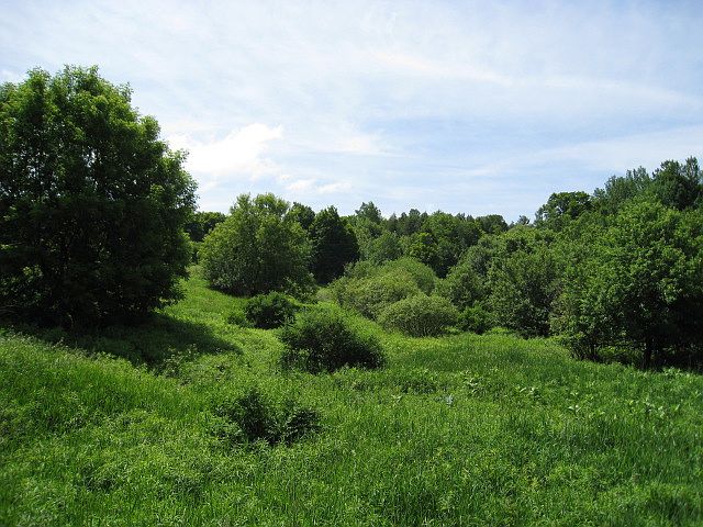View From Tuscarora Road