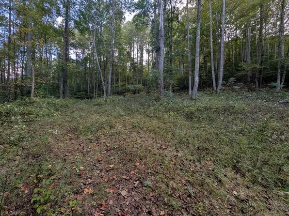 18 Enchanted Mountain Cv, Franklin, NC 28734