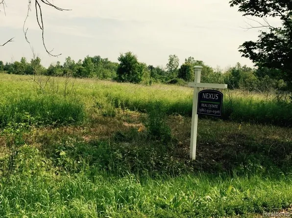 000-26 Mile Rd, Ray, MI 48096