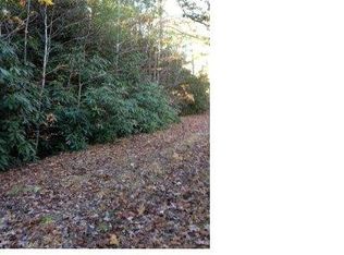 Spring Hill St, Hot Springs, NC 28743