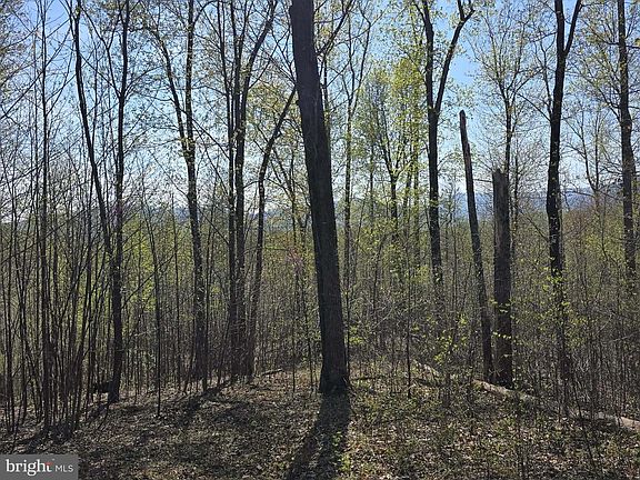 3rd image of LOT 2 S Fort Valley Rd