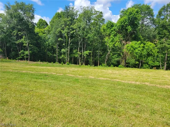 3595 Hawthorn Dr, McConnelsville, OH 43756