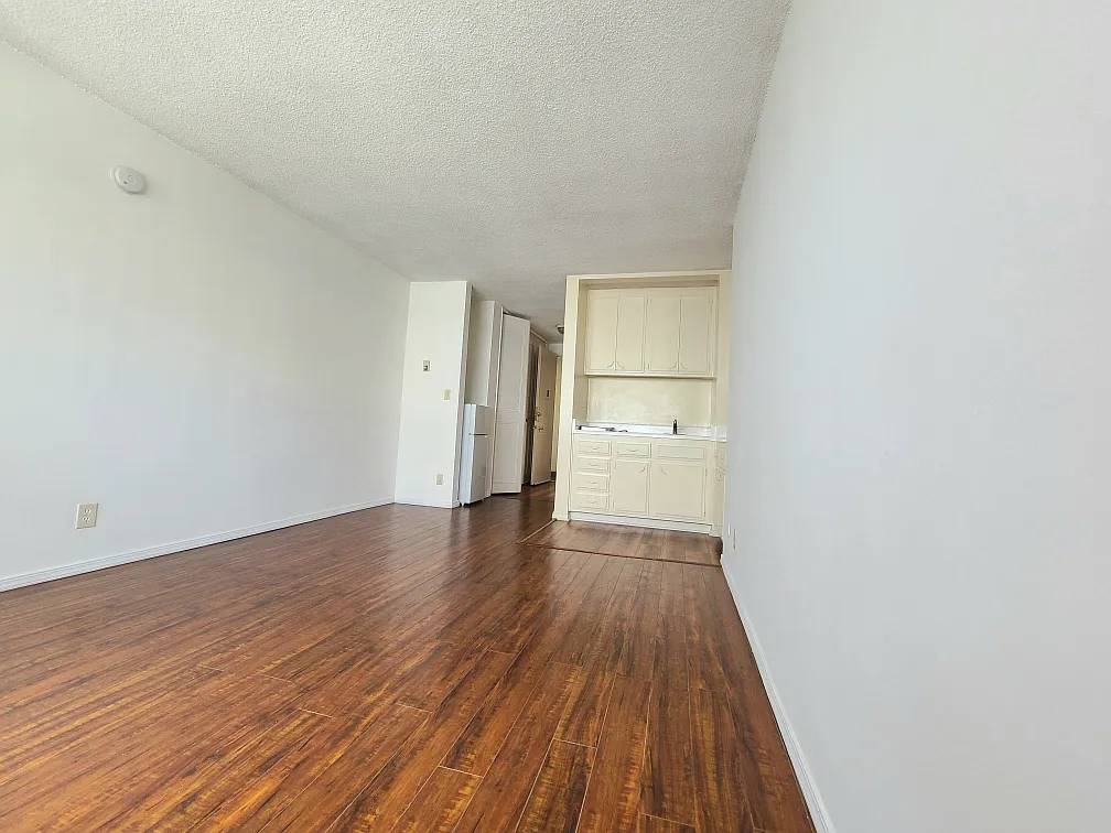 Studio, 450 sqft, $1,250 — Photo 4