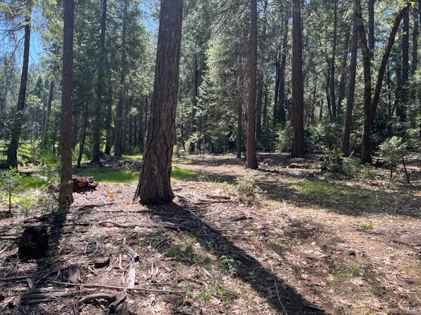 (undisclosed Address), Nevada City, CA 95959
