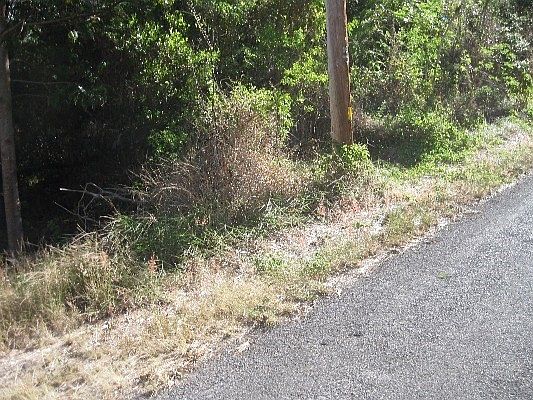 2nd image of Lot 31