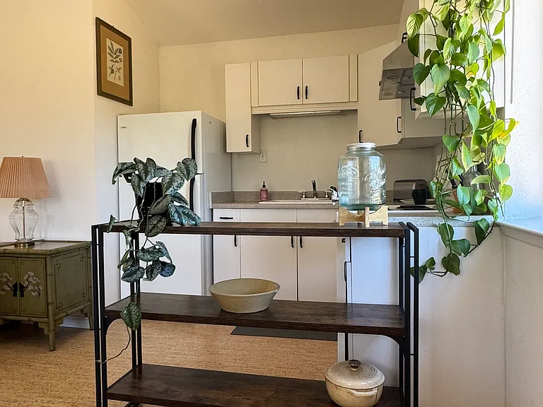 13717 Witt Ln — Photo 6