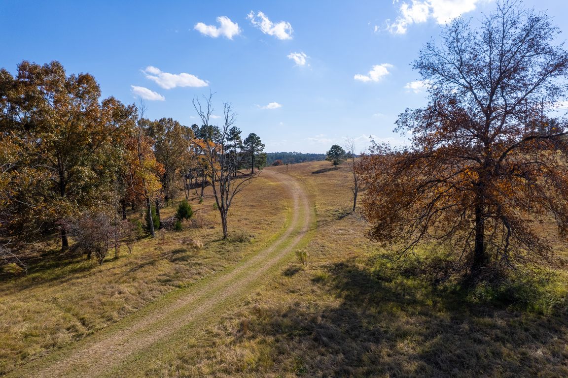 next background image