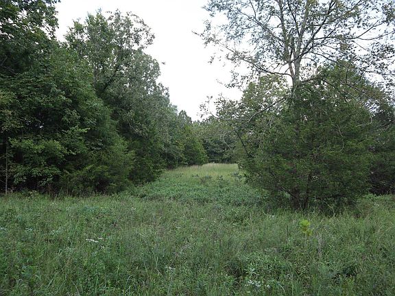 5th image of Gum Springs Cemetery Ln