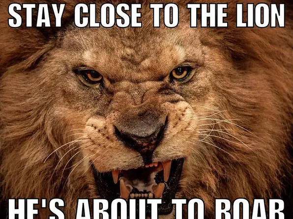 1123 Somerville Rd SE, Decatur, AL 35601