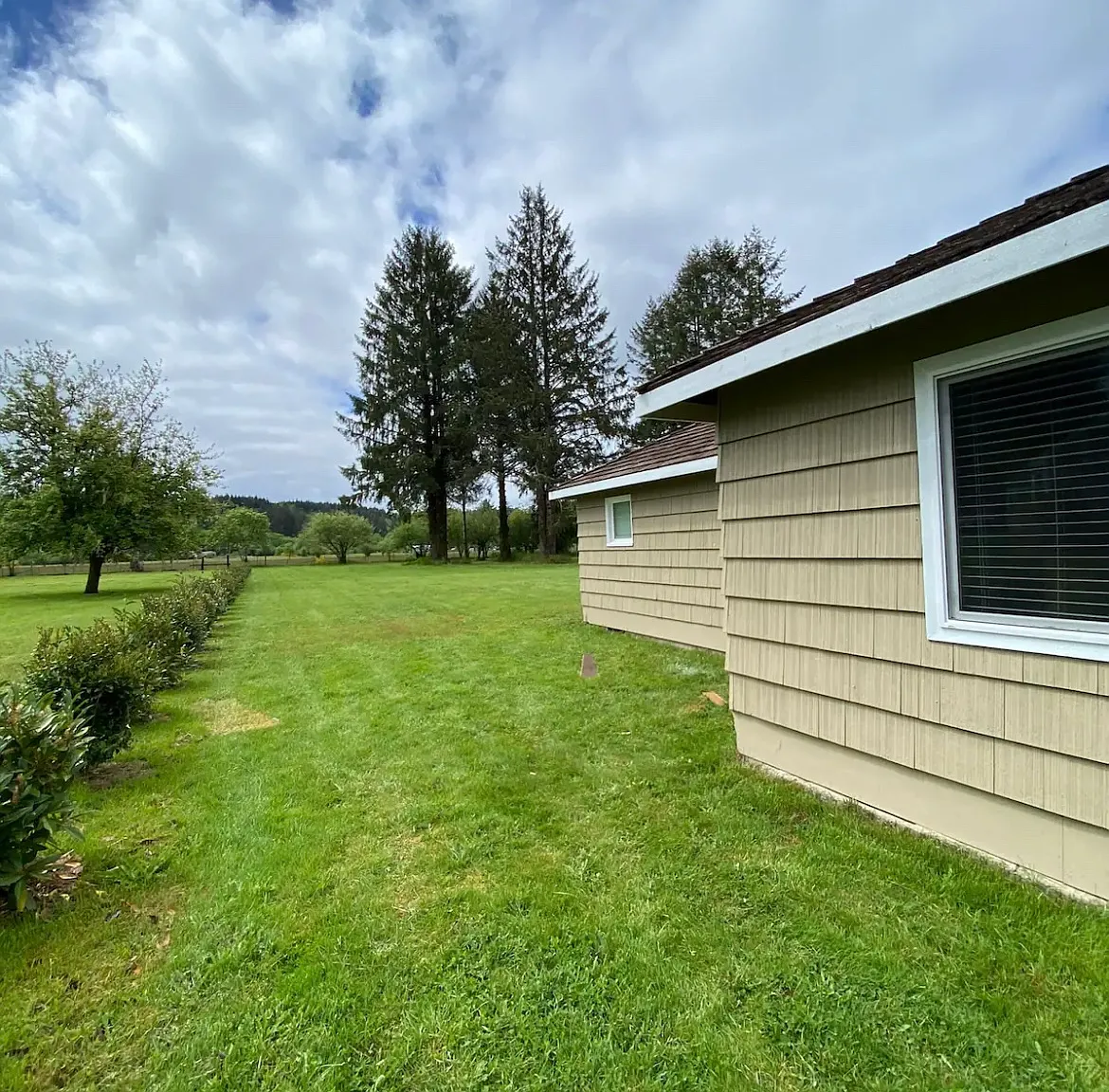 2 bed, 980 sqft, $1,250 — Photo 2