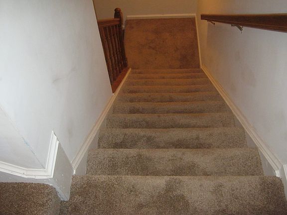 Stairs carpet
