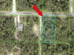 35106 Cornerstone Dr LOT 1, Webster, FL 33597