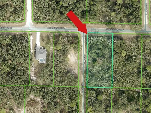 35106 Cornerstone Dr Lot 1, Webster, FL 33597