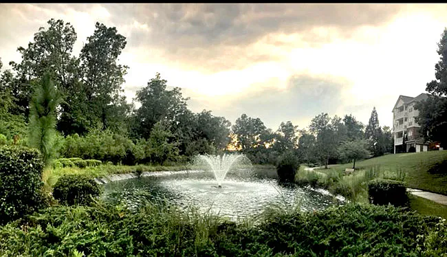 Pond in the community