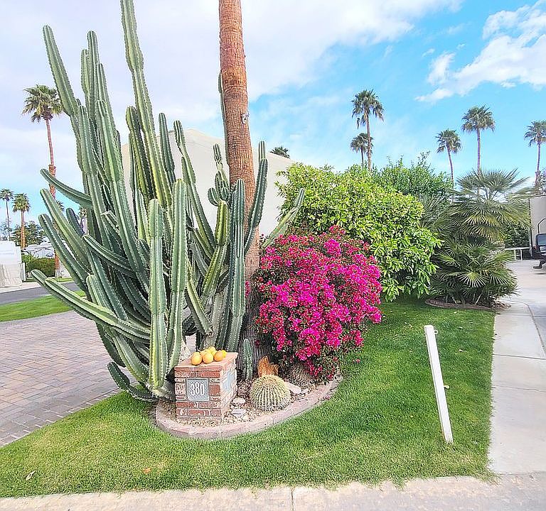 2nd image of 69411 Ramon Rd #380