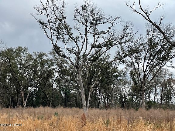 2nd image of 5 Acres Hwy #90