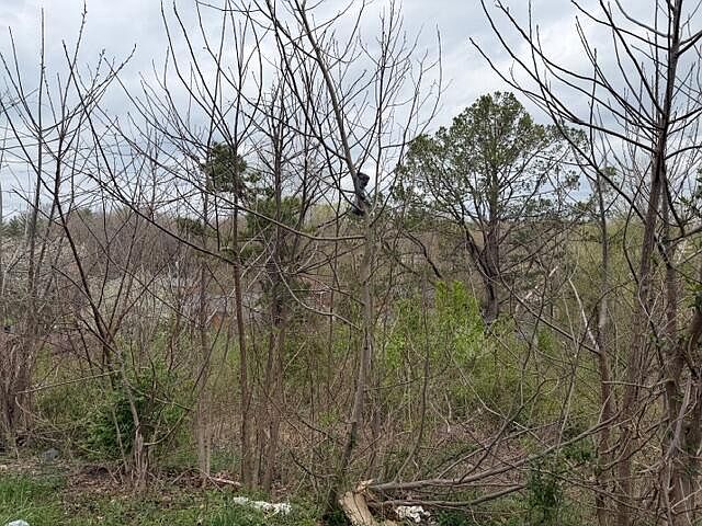 2nd image of 40 N McFadden Dr