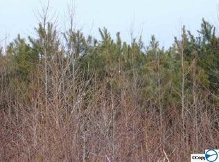 Turnpike Rd, Albertville, AL 35950